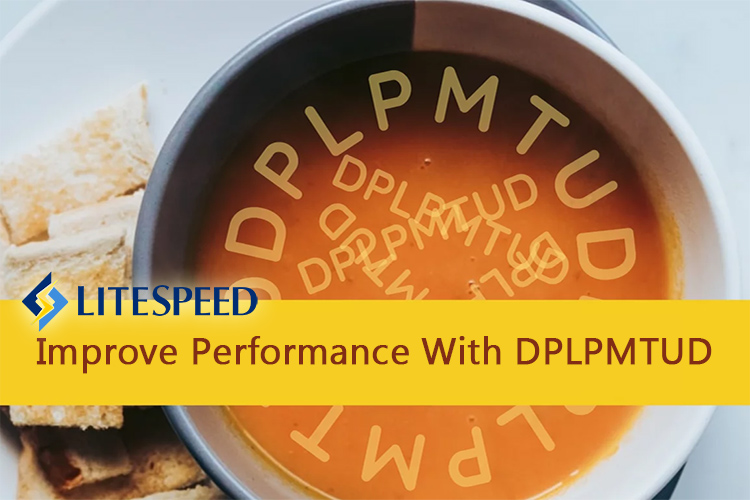 LiteSpeed משפרים ביצועים עם DPLPMTUD